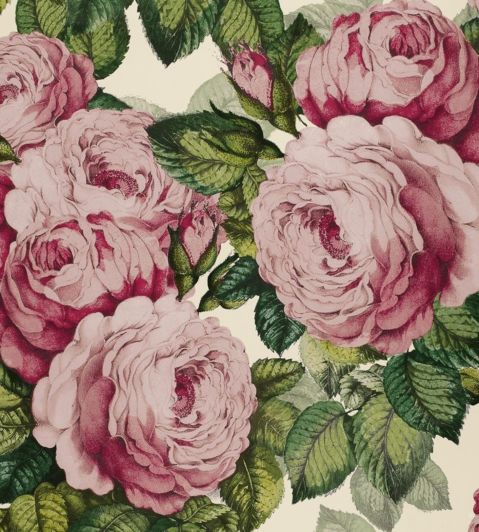 The Rose Wallpaper by Designers Guild Tuberose