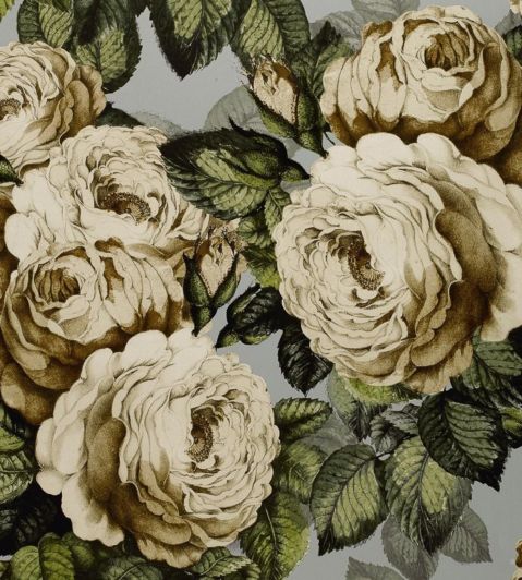 The Rose Wallpaper by Designers Guild Steel