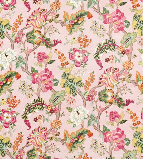 fusang-tree-sanderson-226966-