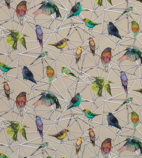 Aviary Fabric by Osborne & Little Multi