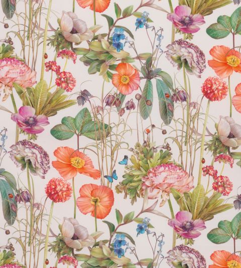 Meadow Fabric by Osborne & Little Coral / Emerald / Magenta