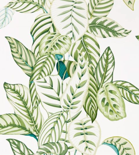 Calathea Wallpaper by Sanderson Botanical Green