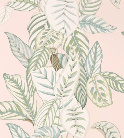 Calathea Wallpaper by Sanderson Orchid/Eucalyptus