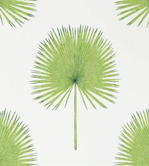 Fan Palm Wallpaper by Sanderson Botanical Green