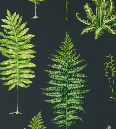 Fernery Wallpaper by Sanderson Botanical Green/Charcoal