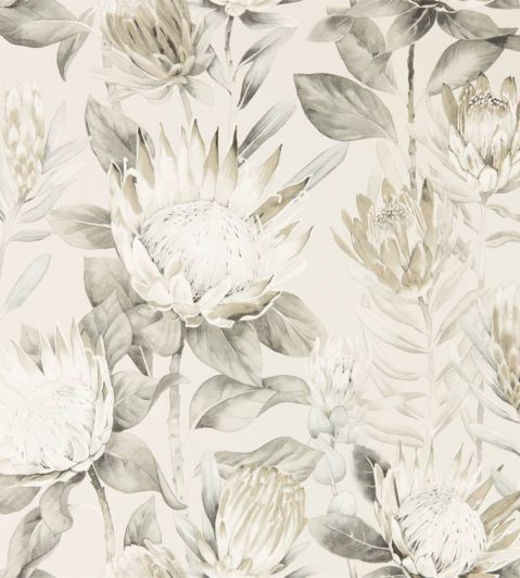 King Protea Wallpaper by Sanderson Linen/Mica