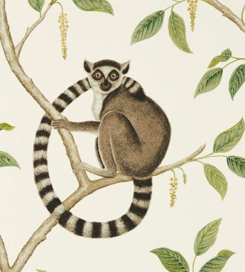 Ringtailed Lemur Wallpaper by Sanderson Cream/Olive