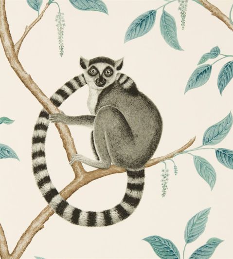 Ringtailed Lemur Wallpaper by Sanderson Stone/Eucalyptus