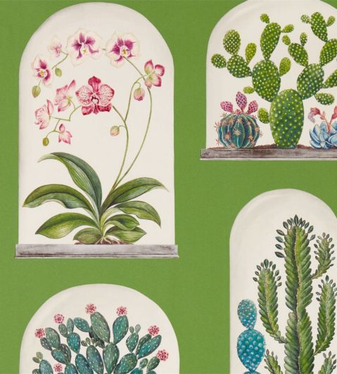 Terrariums Wallpaper by Sanderson Botanical Green/Multi