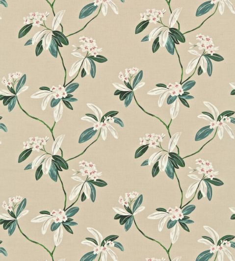 Oleander Fabric by Sanderson Orange/Teal