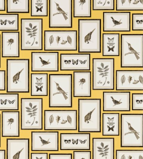 Picture Gallery Wallpaper By Sanderson In Yellow Charcoal Jane Clayton