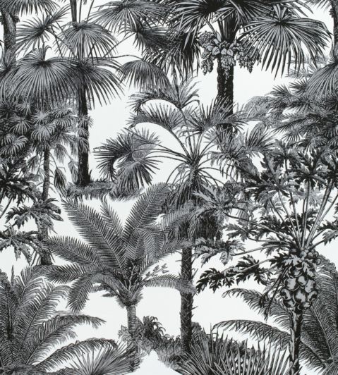 Palm Botanical Fabric by Thibaut Black