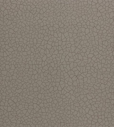 Cracked Earth Wallpaper by Zoffany Gobi