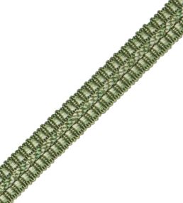 1/2" Le Jardin Silk Gimp Trimming by Samuel & Sons Spearmint