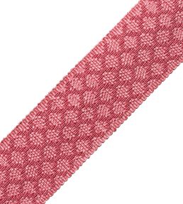 1.75" Le Jardin Silk Border Trimming by Samuel & Sons Flamingo