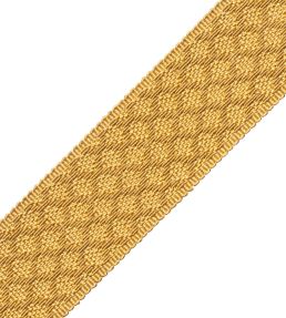 1.75" Le Jardin Silk Border Trimming by Samuel & Sons Goldenrod
