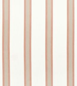 Abito Stripe Fabric by Thibaut Clay