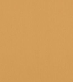 Alto Velvet Fabric by Thibaut Honey