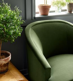 Alto Velvet Fabric by Thibaut Ivory