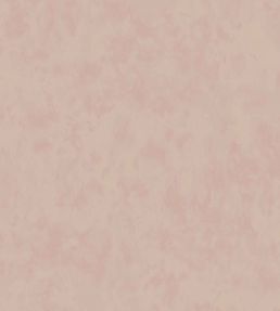 Alumina Wallpaper by Villa Nova Plaster
