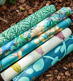 Amazilia Wallpaper by Harlequin Powder / Pearl