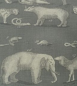Kingdom Fabric by Andrew Martin Storm