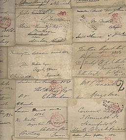 Love Letter Wallpaper by Andrew Martin Parchment