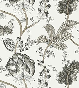 Kalamkari Vine Wallpaper by Anna French Black and White