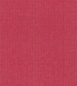 Arden Fabric by Wemyss Spice