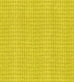 Arden Fabric by Wemyss Zest