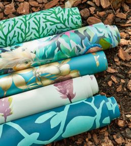 Ardisia Wallpaper by Harlequin Soft Focus / Oyster / Gold