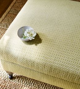 Arlette Fabric by Colefax and Fowler Leaf Green