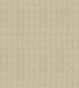 Pantheon Wallpaper by Armani Casa 9242