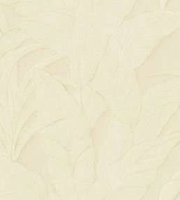Musa Wallpaper by Arte 005a
