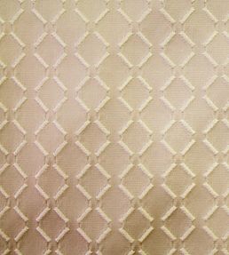 Burman Fabric by Ashley Wilde Gold