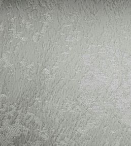 Poplar Fabric by Ashley Wilde Platinum