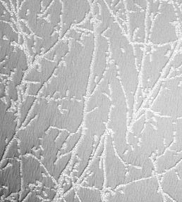Waltham Fabric by Ashley Wilde Platinum