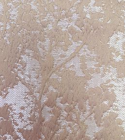Poplar Fabric by Ashley Wilde Cantaloupe