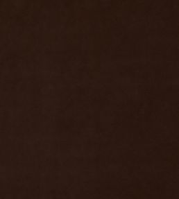 Baker House Velvet Fabric by GP & J Baker Espresso
