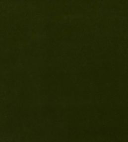 Baker House Velvet Fabric by GP & J Baker Olive