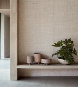 Banana Bark Wallpaper by Mark Alexander Whitewash