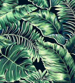 Banana Leaves Wallpaper by Brand McKenzie Leaf Green