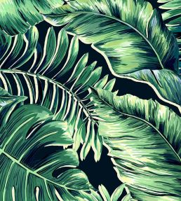 Banana Leaves Max Wallpaper by Brand McKenzie Leaf Green