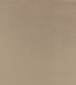 Benjamin Fabric by Zinc Putty