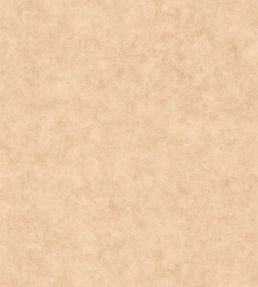 Benton Uni Wallpaper by Caselio Beige