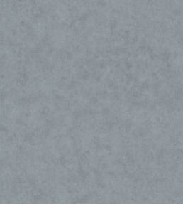 Benton Uni Wallpaper by Caselio Carbone clair