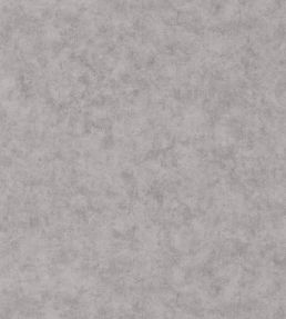 Benton Uni Wallpaper by Caselio Gris beton fonce