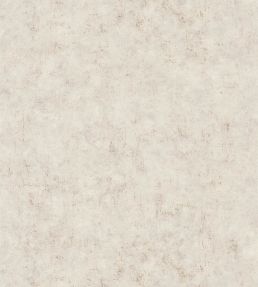 Benton Uni Wallpaper by Caselio Macciato