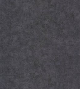 Benton Uni Wallpaper by Caselio Noir