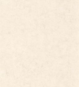 Benton Uni Wallpaper by Caselio Taupe beige clair